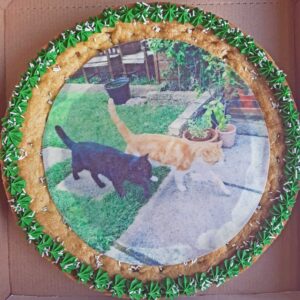 Cats on any image cookie cake